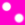 �V���b�L���O�s���N�h�b�g